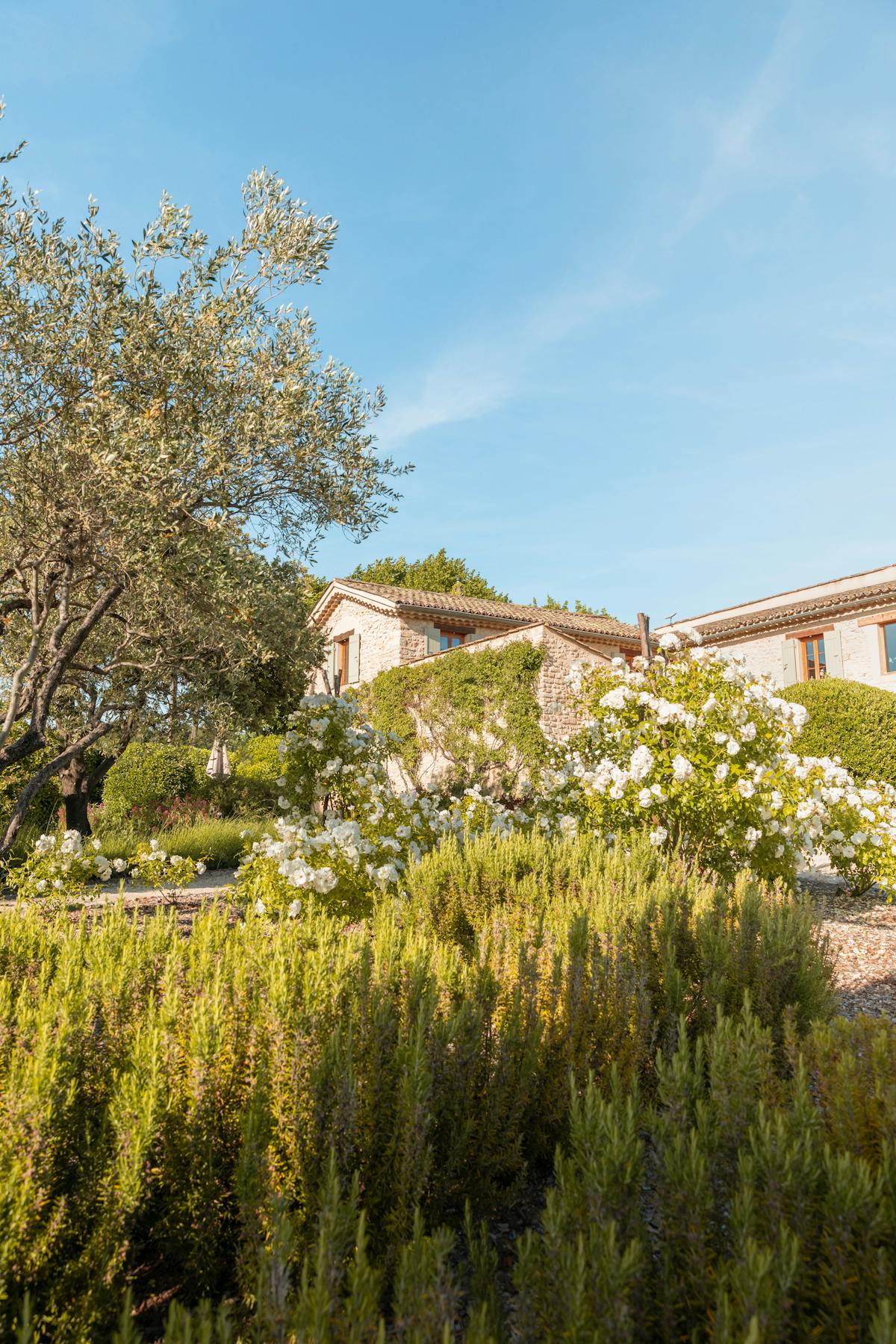Jardin paysager méditerranéen à Vence